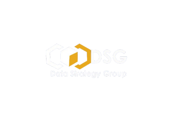DSG – Data Strategy Group
